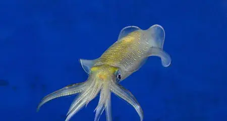 原料調達のイメージ